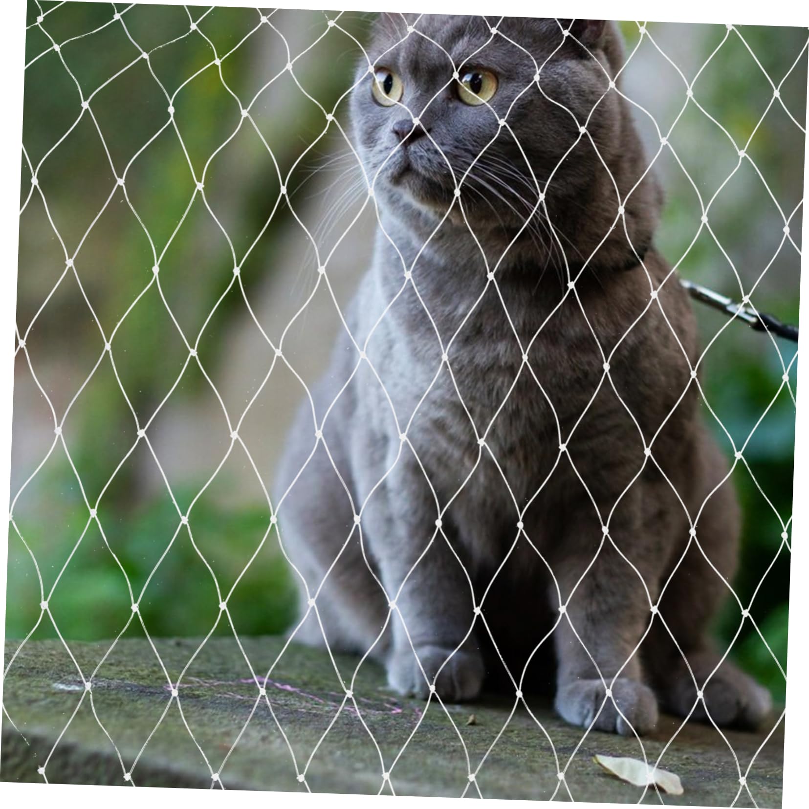 FRCOLOR Katzenschutznetz und Balkon Katze Netz ohne Bohren Nylon Zuschneidbar für Fenster Treppe