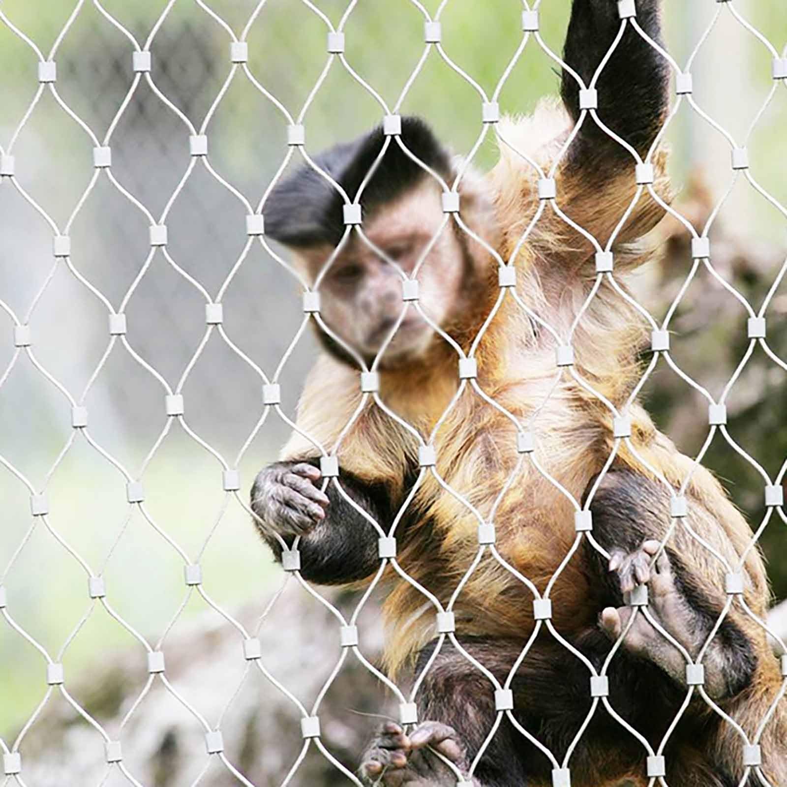 Siatka druciana ze stali nierdzewnej 304 – siatka chroniąca przed upadkiem na schody, balkony, ogrody zoologiczne i do ogrodu botanicznego