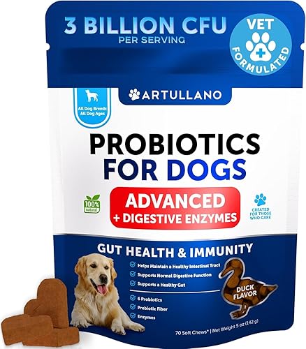 Probióticos para Perros - Apoyo para la Salud Intestinal, Piel Con Picazón, Alergias, Inmunidad, Equilibrio de Levadura - Probióticos para Perros y