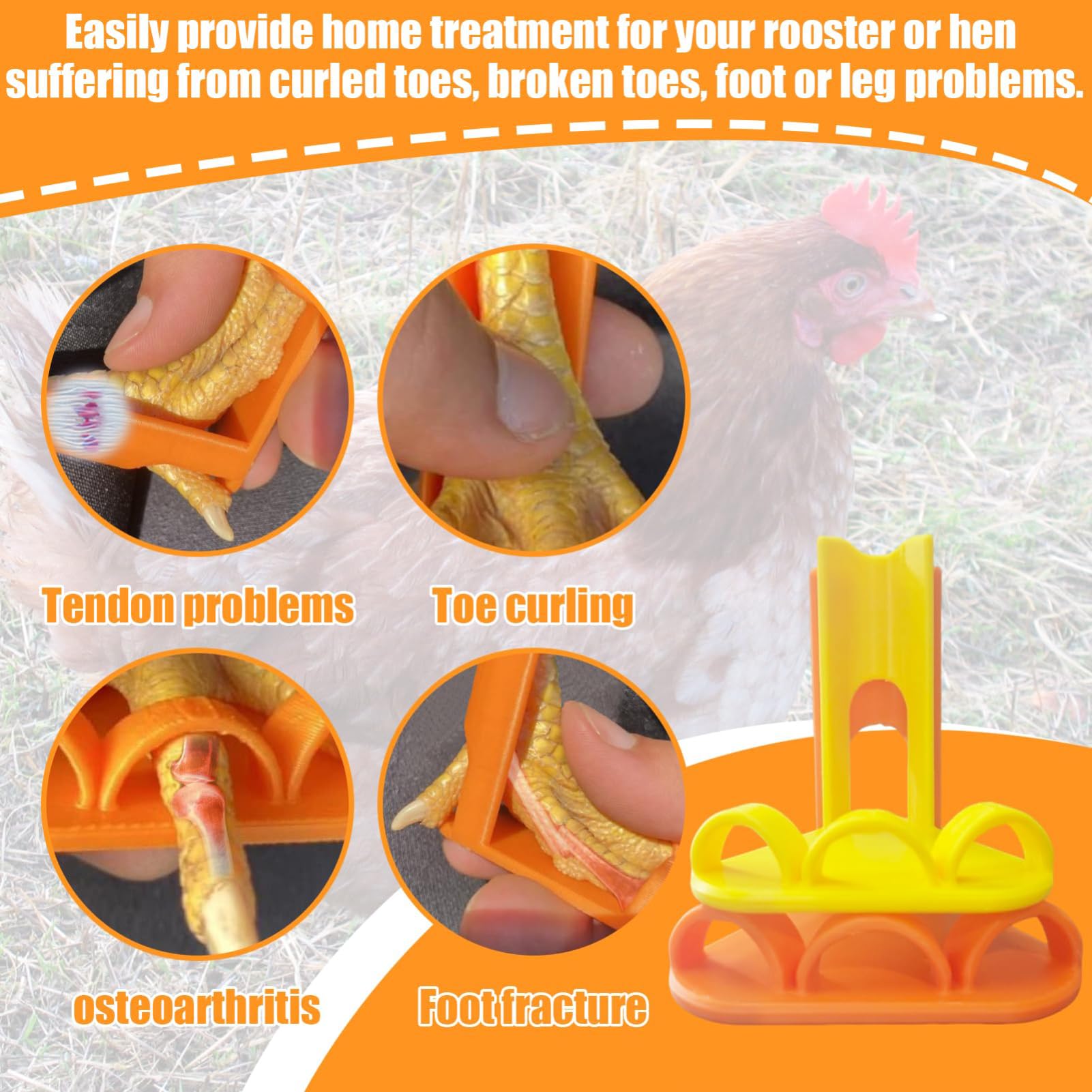 Attelle de fixation pour poules, canards et pattes d'oie - Attelle pour poules à différents stades de croissance - 10 bandes de soutien réglables pour coqs, pieds cassés, volailles, jeunes oiseaux