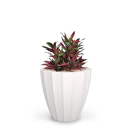 Mayne Inc. Sedona 18in Round Planter - White - 18in L x 18in W x 18in H - with Built-in Water Reservoir, Made with Polyethylene (2830-W)