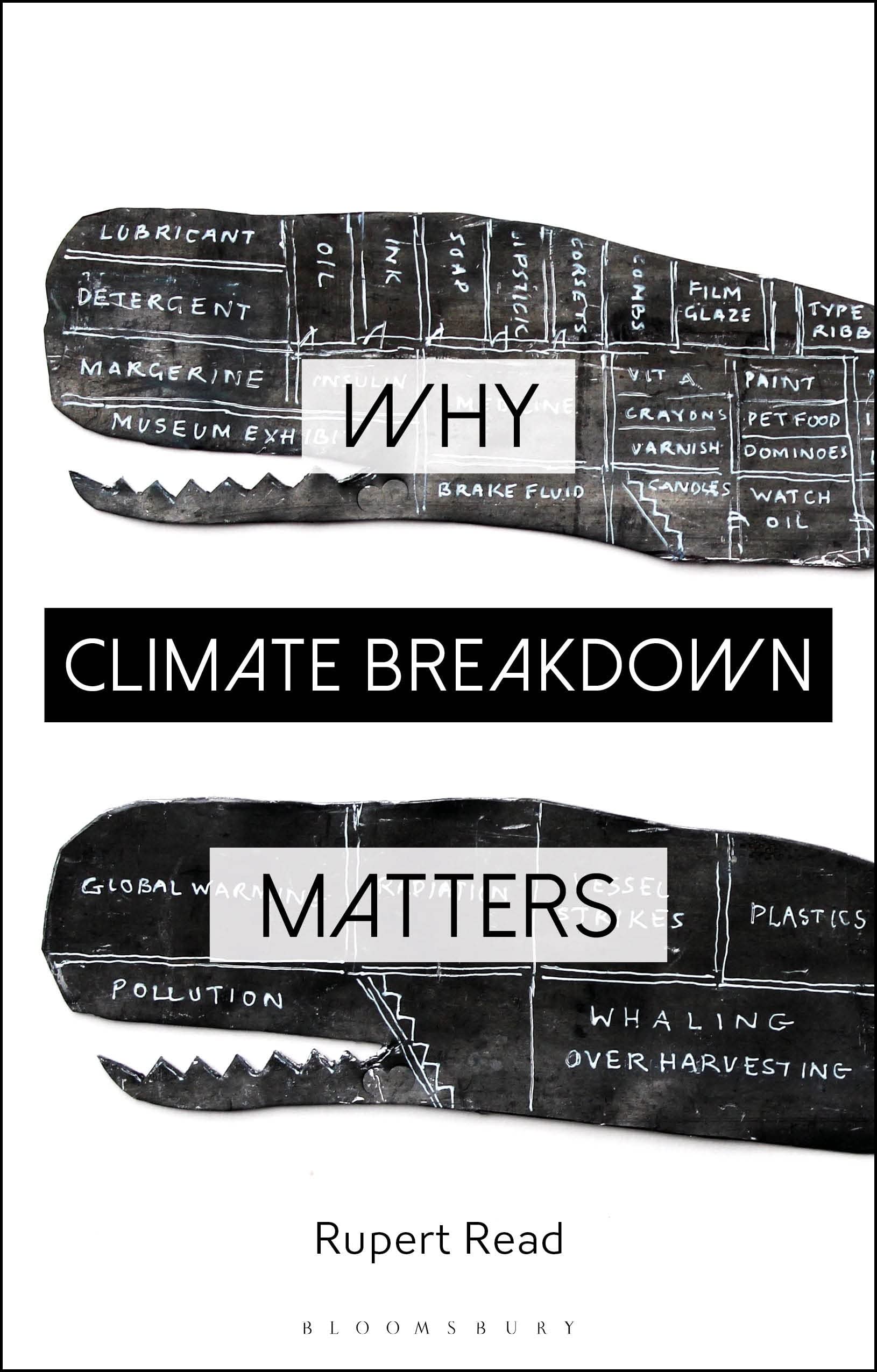 Why Climate Breakdown Matters (Why Philosophy Matters)