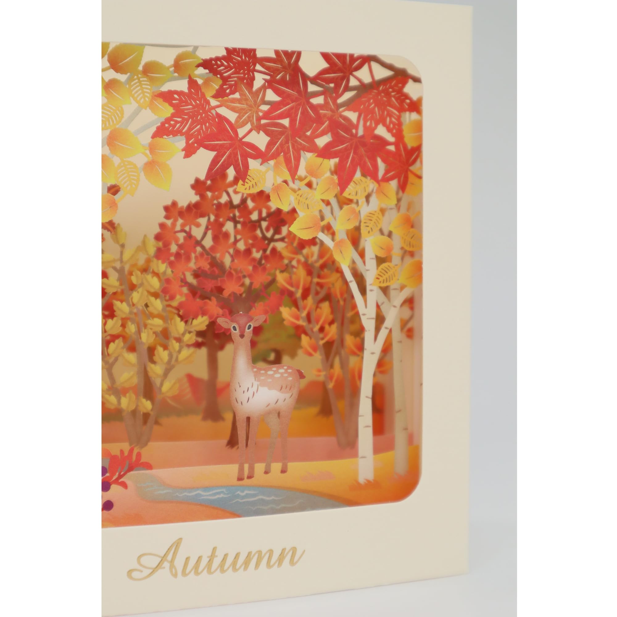 Amazon | 【 立体 ボックス メッセージ カード 秋 】 紅葉の森 リーフ