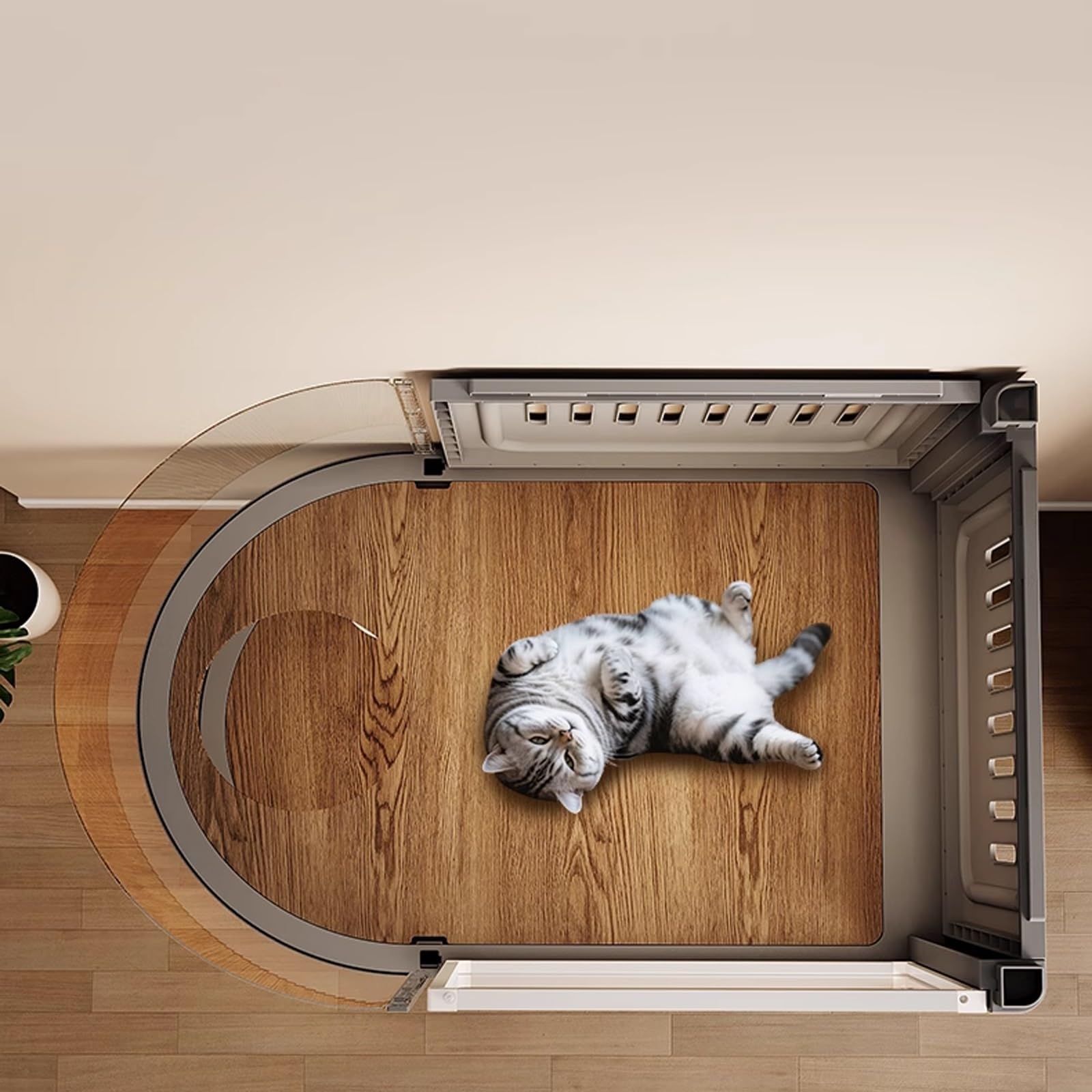 Gabbia Trasparente per Gatti con Lettiera Recinto da Interno Panoramico, Casa Spaziosa per 1–2 Gatti, Facile da Montare e Pulire, Design Espandibile(Black,93 x 63 x 52 cm)
