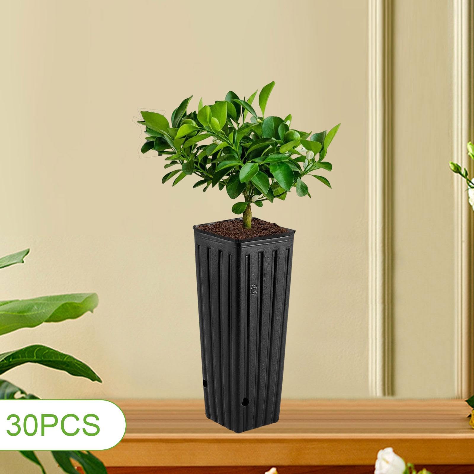 30 Pots pour Semis, Jardinières, Conteneurs avec Trous de Drainage, en Polypropylène, Favorisent La Croissance des Racines, pour Terrasse, XL