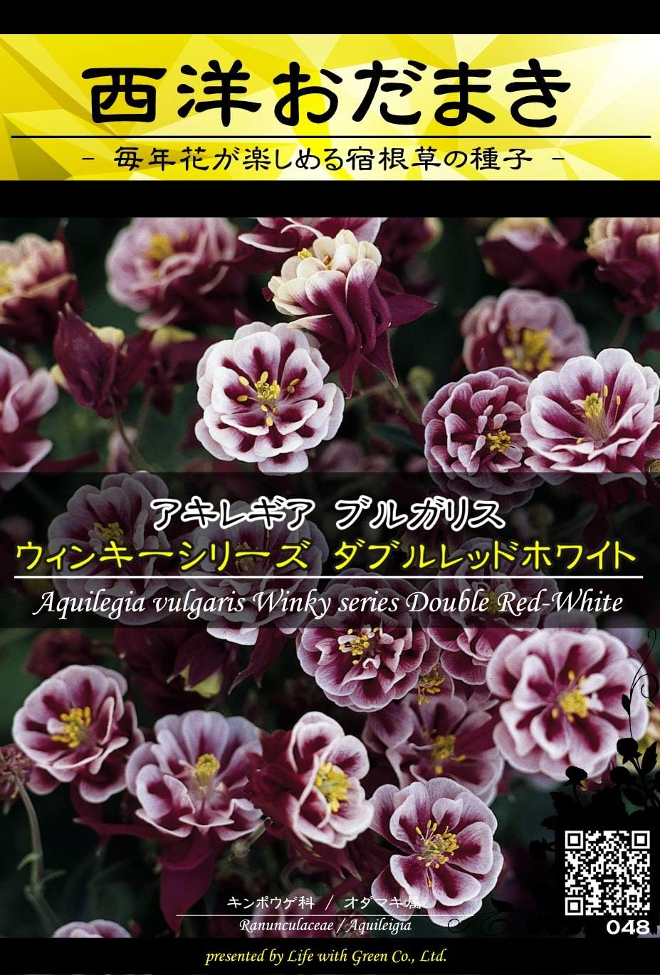 New売り切れる前に 花種 アキレギア ブルガリス クレメンタインシリーズ ブルー 61 M Discoversvg Com