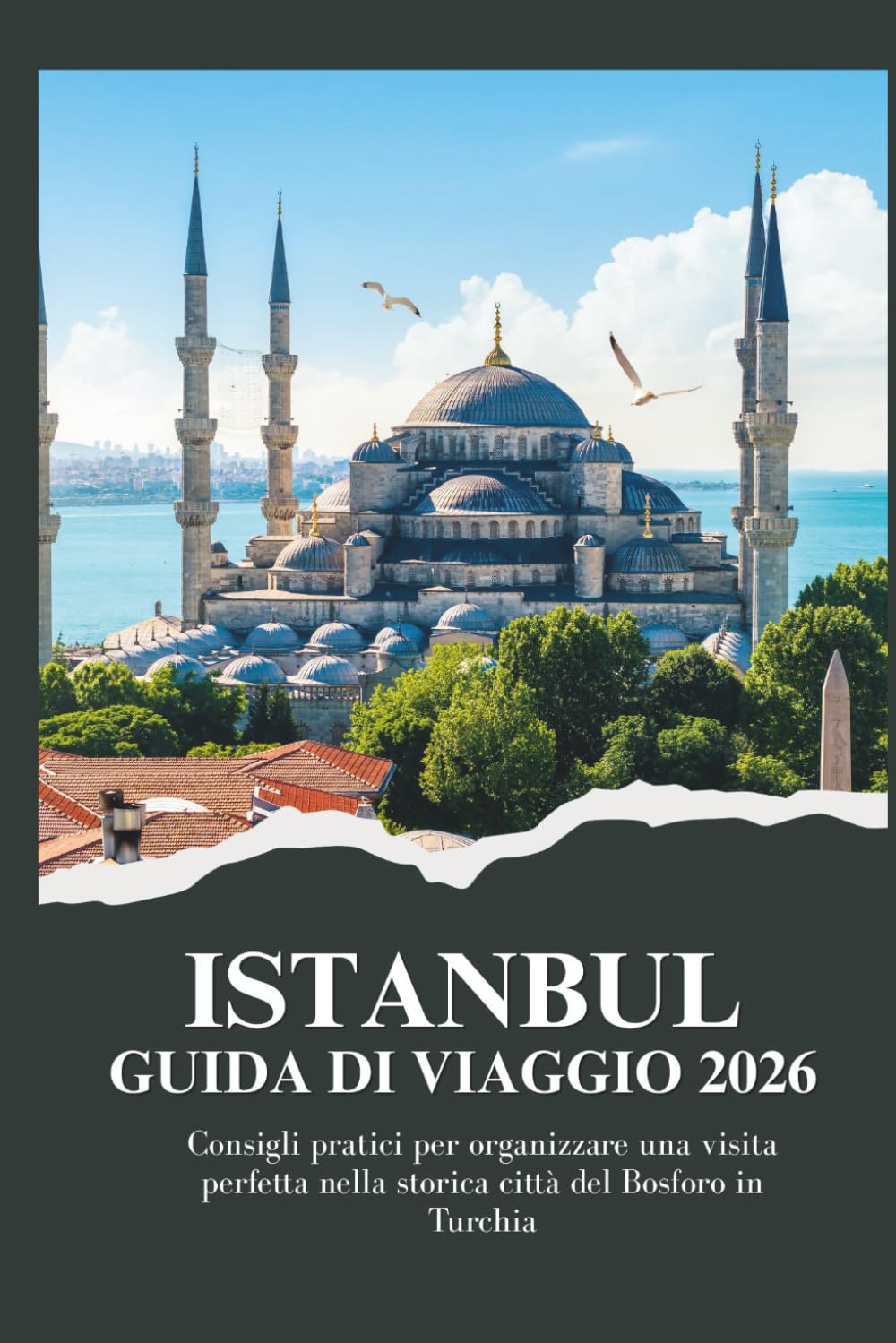 ISTANBUL GUIDA DI VIAGGIO 2026 - Consigli pratici per organizzare una visita perfetta nella storica città del Bosforo in Turchia