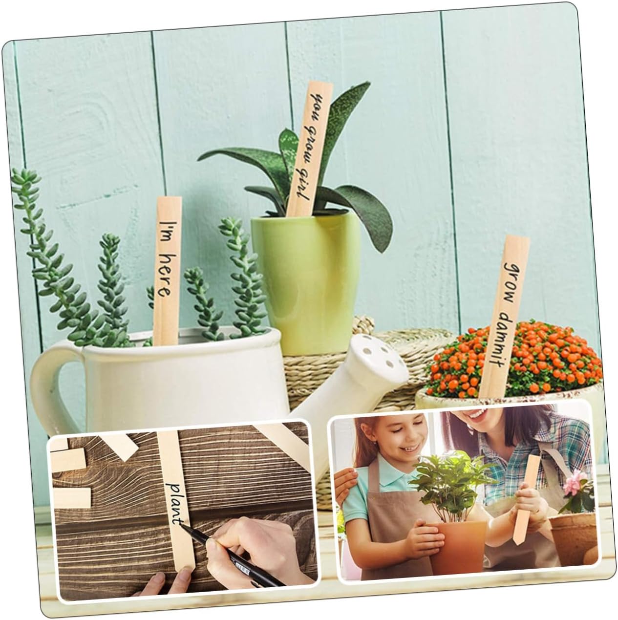 250個 植物ラベル 保育園の看板 園芸植物のラベル 園芸植物マーカー 庭のマーカー 庭の植物タグ 園芸植物の標識 屋外の植物 園芸