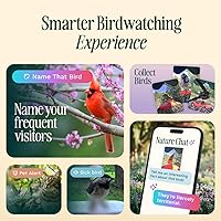 Vista 6 de Birdbuddy PRO - Comedero solar inteligente para pájaros con cámara, identificación de especies de aves AI, fotos de 5 MP, cámara de transmisión