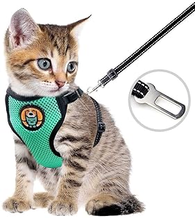 best cat harness amazon