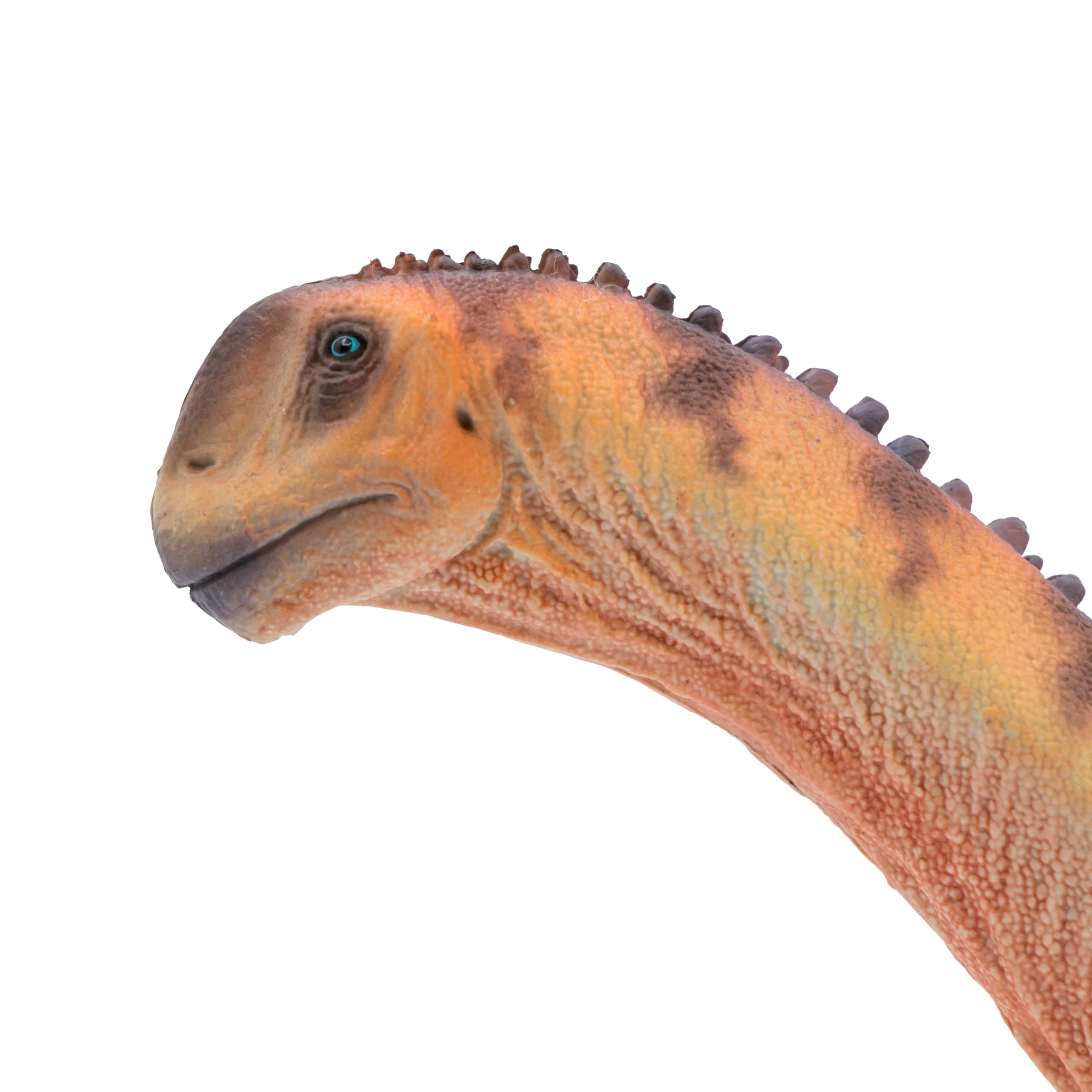 Amazon.co.jp: HAOLONGGOOD 新カマラサウルス 1:35 科学と芸術のモデル