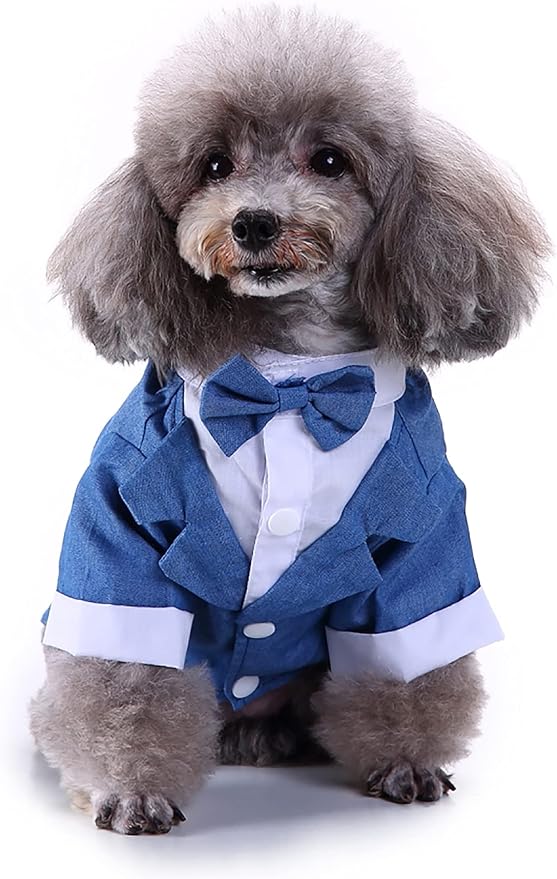 Traje para Perro Boda Tuxedo Formal Azul Pequeño miniatura 2