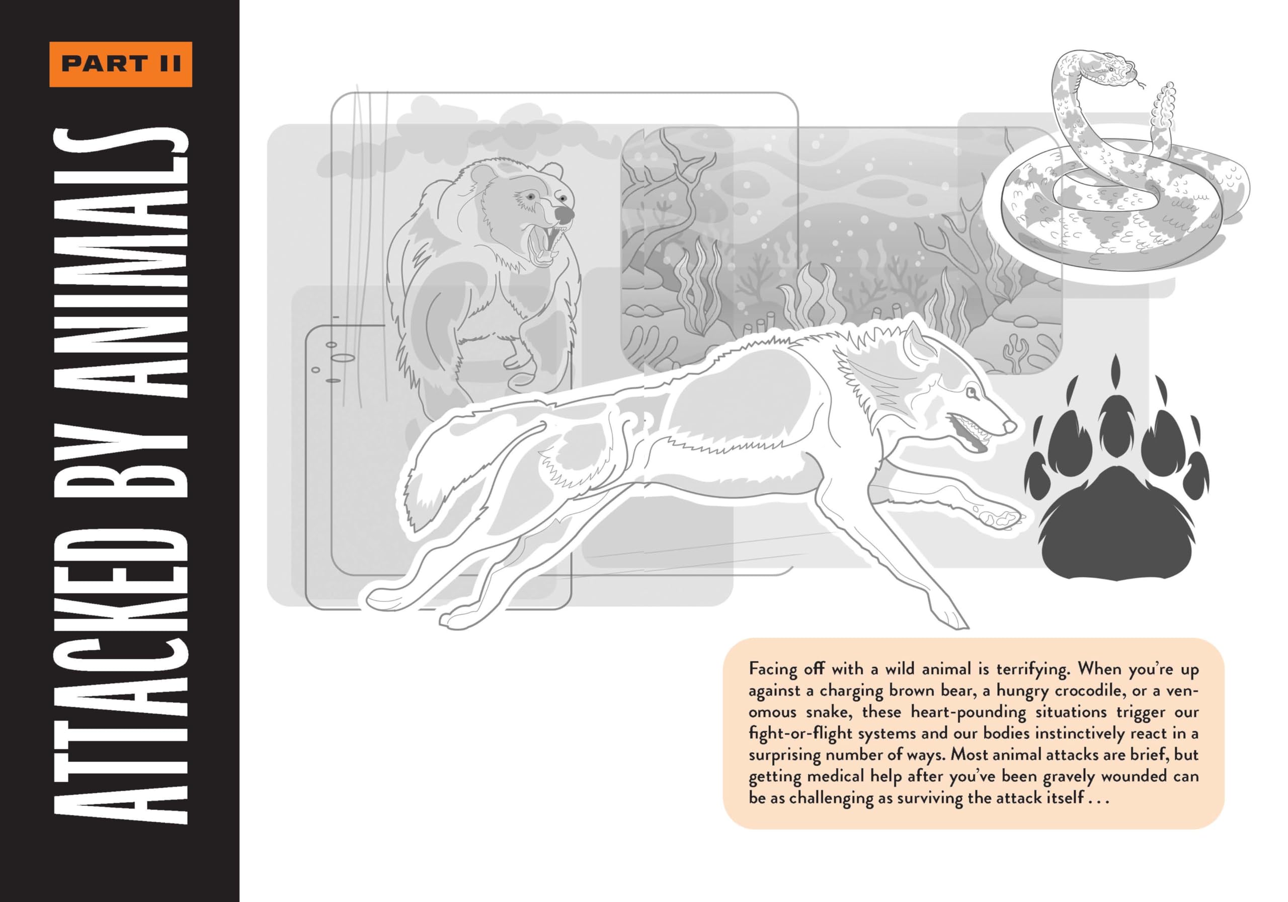 How to Survive Against the Odds: Tales and Tips for Animal Attacks and Natural Disasters