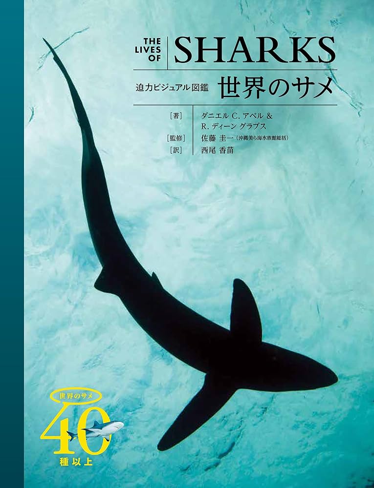 洋書◆サメの写真集 本 鮫 ジョーズ 動物 楽天市場】【最大1200円OFFクーポン】【洋書】ジョーズ：大きな