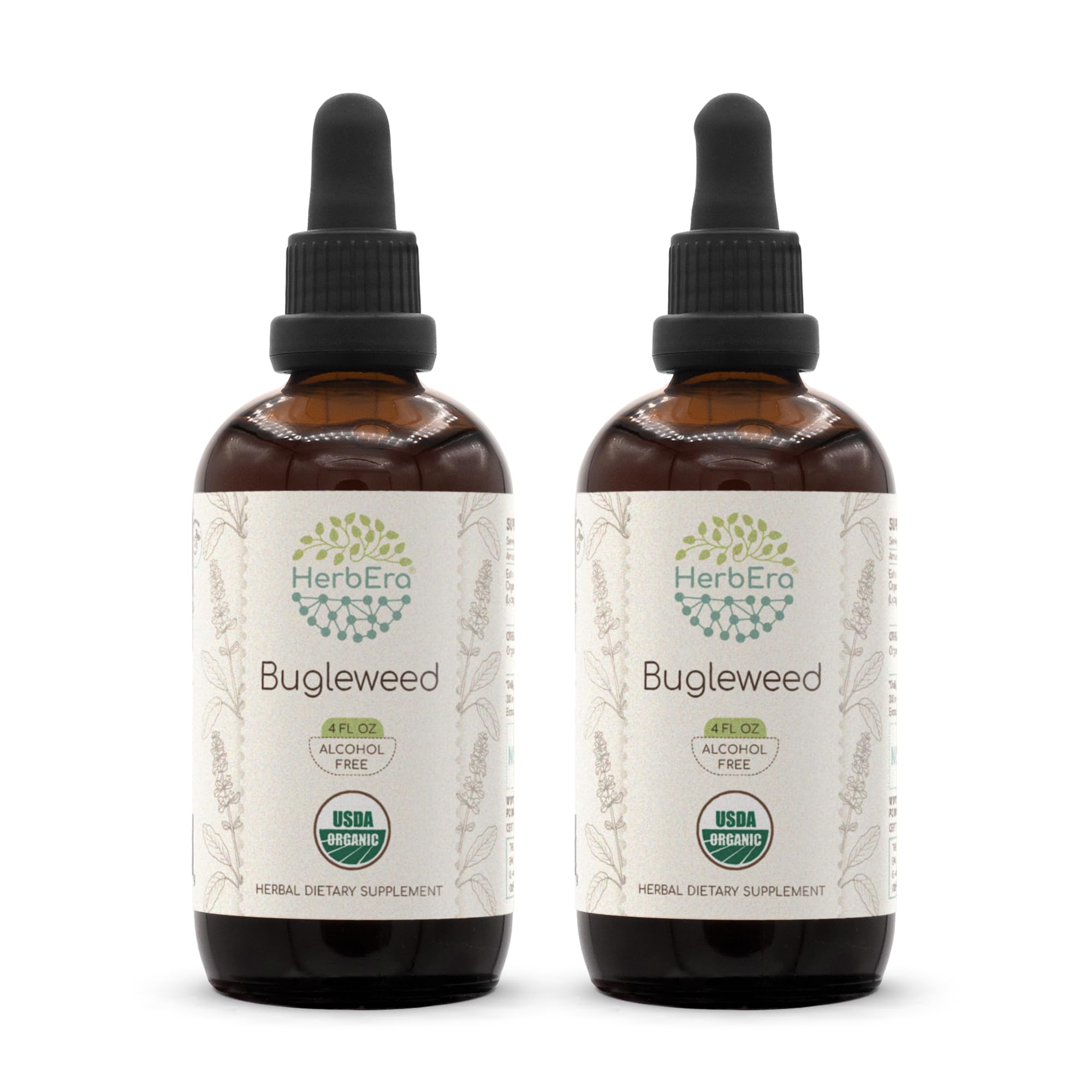HerbEra Bugleweed B120 USDA Organic Tincture | Alcohol-Free Extract, High-Potency Herbal Drops, Respiratory System | Certified Organic Bugleweed (Ze LAN, Lycopus Virginicus) Dried Herb (2x4 fl oz)