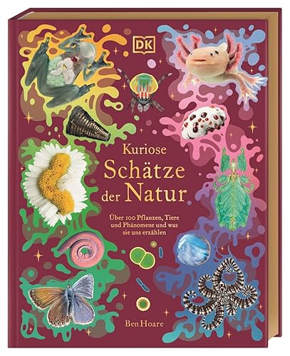 Kuriose Schätze der Natur: Über 100 Pflanzen, Tiere und Phänomene und was sie uns erzählen. Hochwertig ausgestattet mit Goldfolie und Goldschnitt. Für Kinder ab 8 Jahren