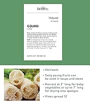 Vista 2 de Burpee - Semillas de luffa ornamental, variedad "Calabaza", 25 semillas
