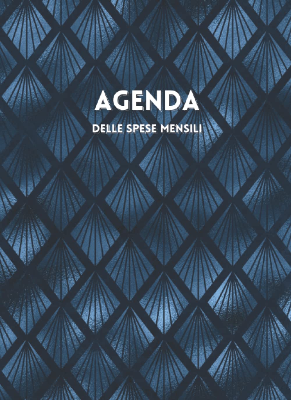 Agenda delle spese mensili: Il libro delle entrate e uscite per gestire spese, debiti e risparmi