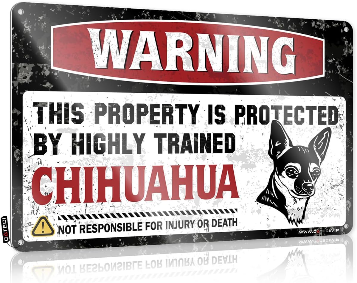 "Warning This Property is Prote..." 12x16in Metal Sign - Funny Decor