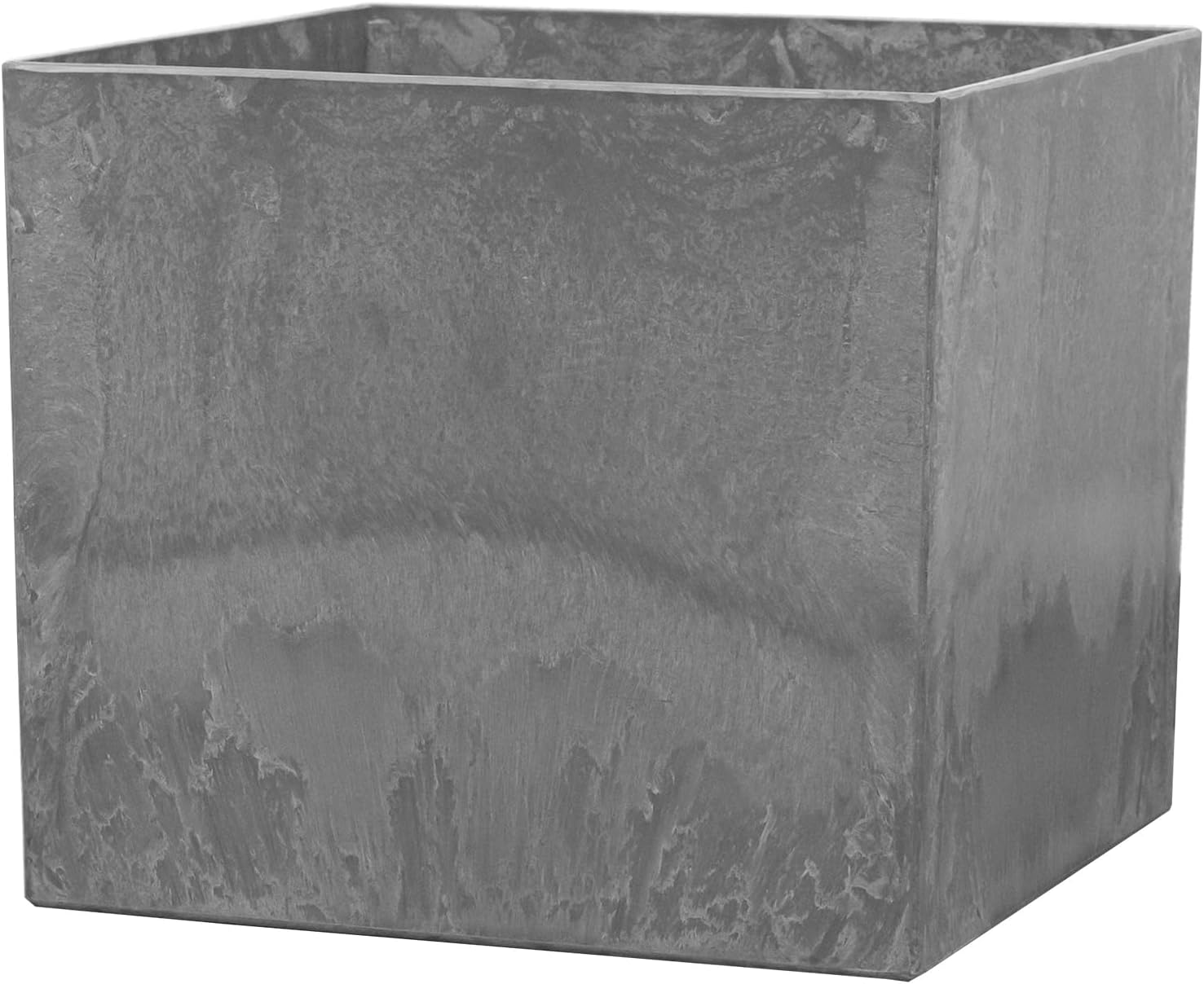 亀甲竜 × Cement pot Incomplete pot ディオスコレア エレファンティ 亀甲竜 × Cement pot Incomplete pot ディオスコレア エレファンティ