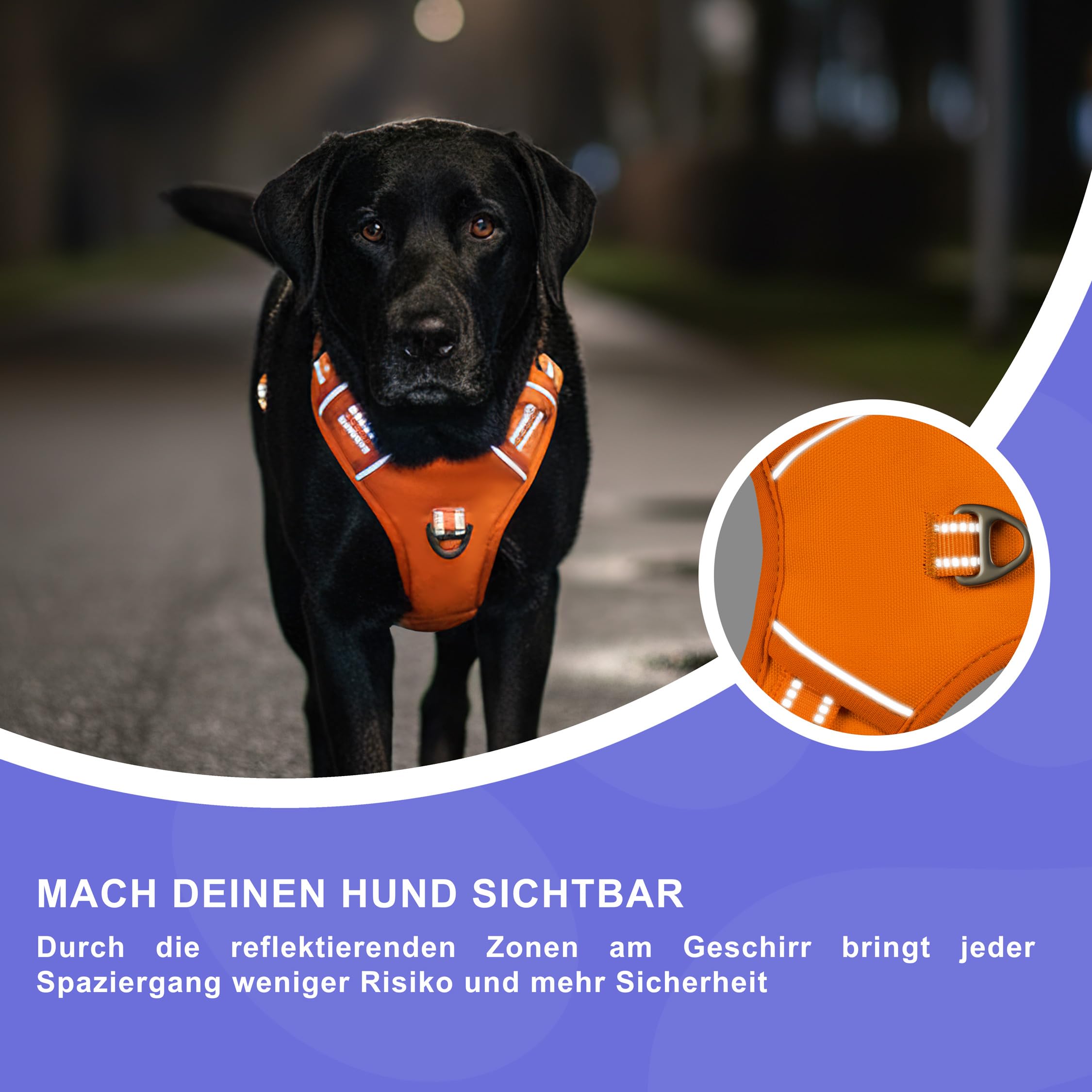Reichstadt Pets uprząż dla psa – regulowana uprząż bez ciągnięcia, z uchwytem i elementami odblaskowymi, oddychająca, wyściełana i wytrzymała, dla średnich psów, 25RSP083, pomarańczowa, M