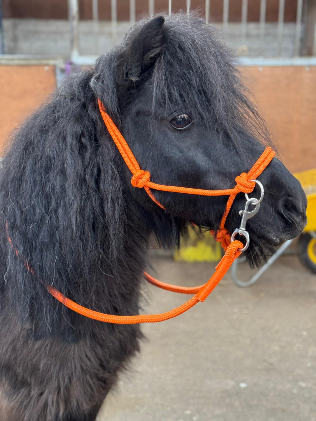 Rope headcollar with Reins for use of Bitless Horse Riding Full to Mini Shet 5 Colours (Orange, Full) - Image 2
