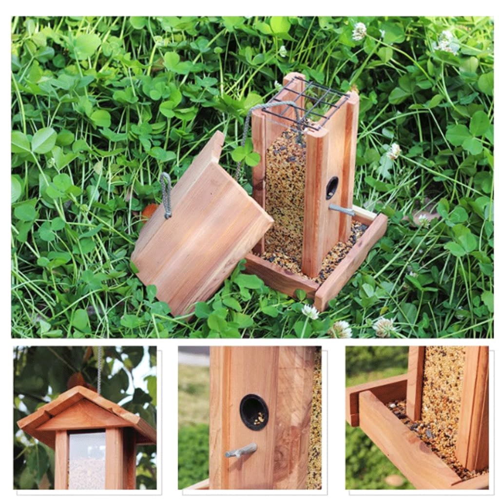Karmnik dla ptaków Vogelvoederhuis Eekhoornbestendig Vogelkantine Weerbestendig Transparant Vogelvoeder voor Mix Seed Blends Tuinbalkon