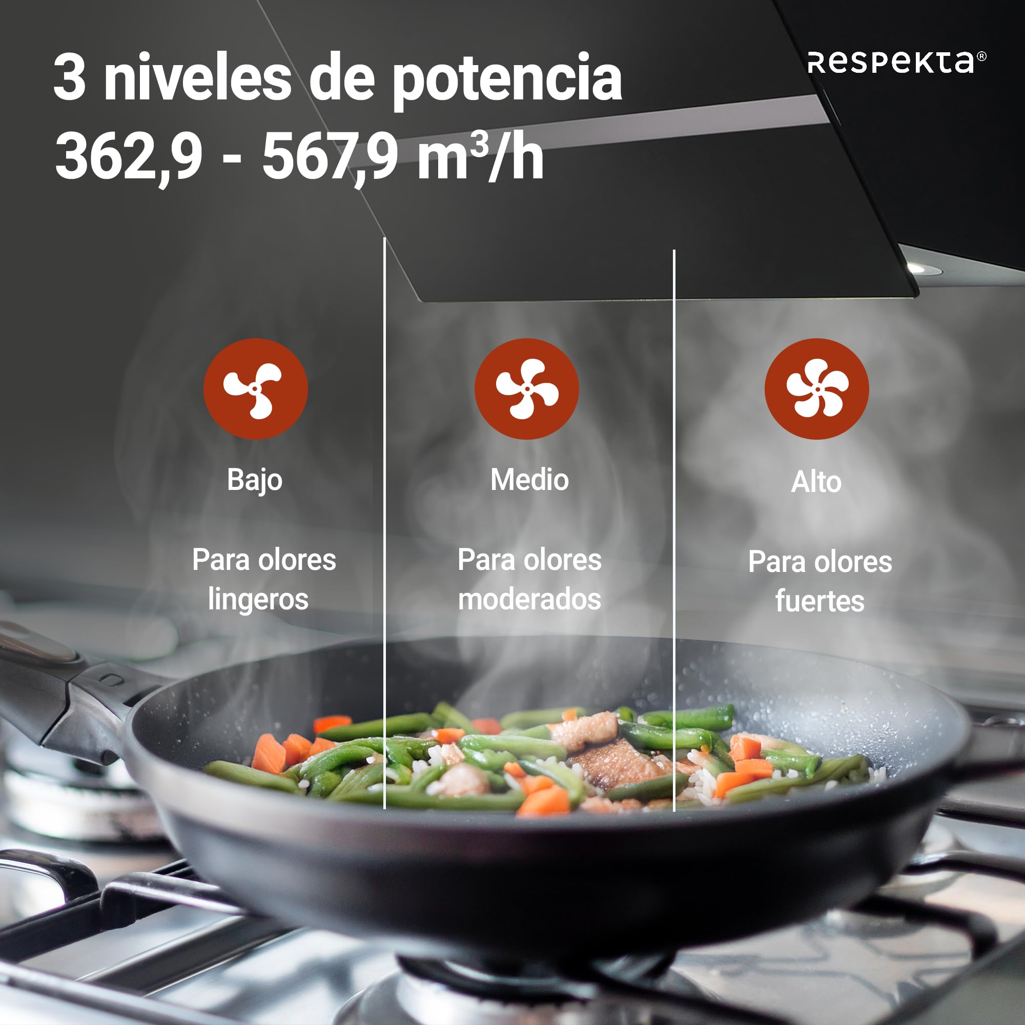 Respekta Campana extractora/caperuza inclinada de 80 cm/carcasa metálica/con pantalla de vidrio en negro/función de extracción y recirculación de aire / CH24080SM / A / 65-70 dB