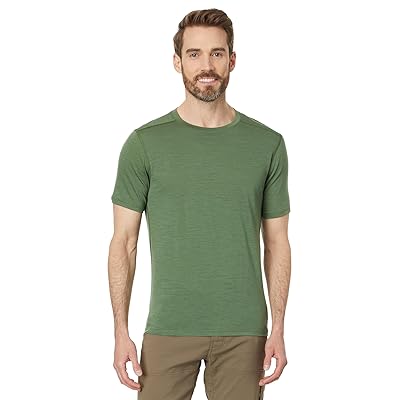 Smartwool Merino Short Sleeve T Shirts Men