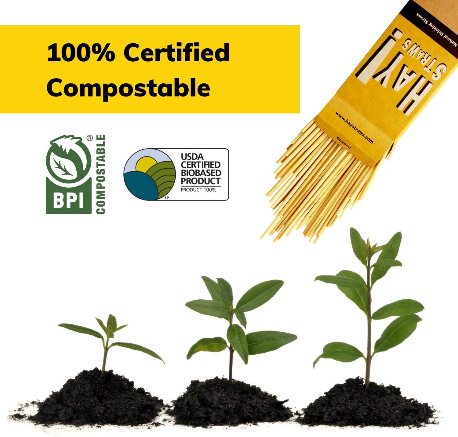 HAY! Straws® 7.75" Regular Drinking Straws | 500 ct 100% Plant-Based | Durable, Non-Soggy, Gluten-Free and Neutral-Taste | Eco-Friendly Alternative to Plastic and Bioplastic Straws