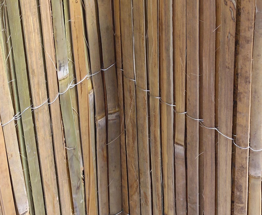 Mata bambusowa Beach 100 x 500 cm – mata maskująca z bambusa Split, rozdwojonych rur bambusowych, 1 m x 5 m