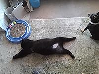 Review Image by Kenneth LeMaster Kenneth LeMaster