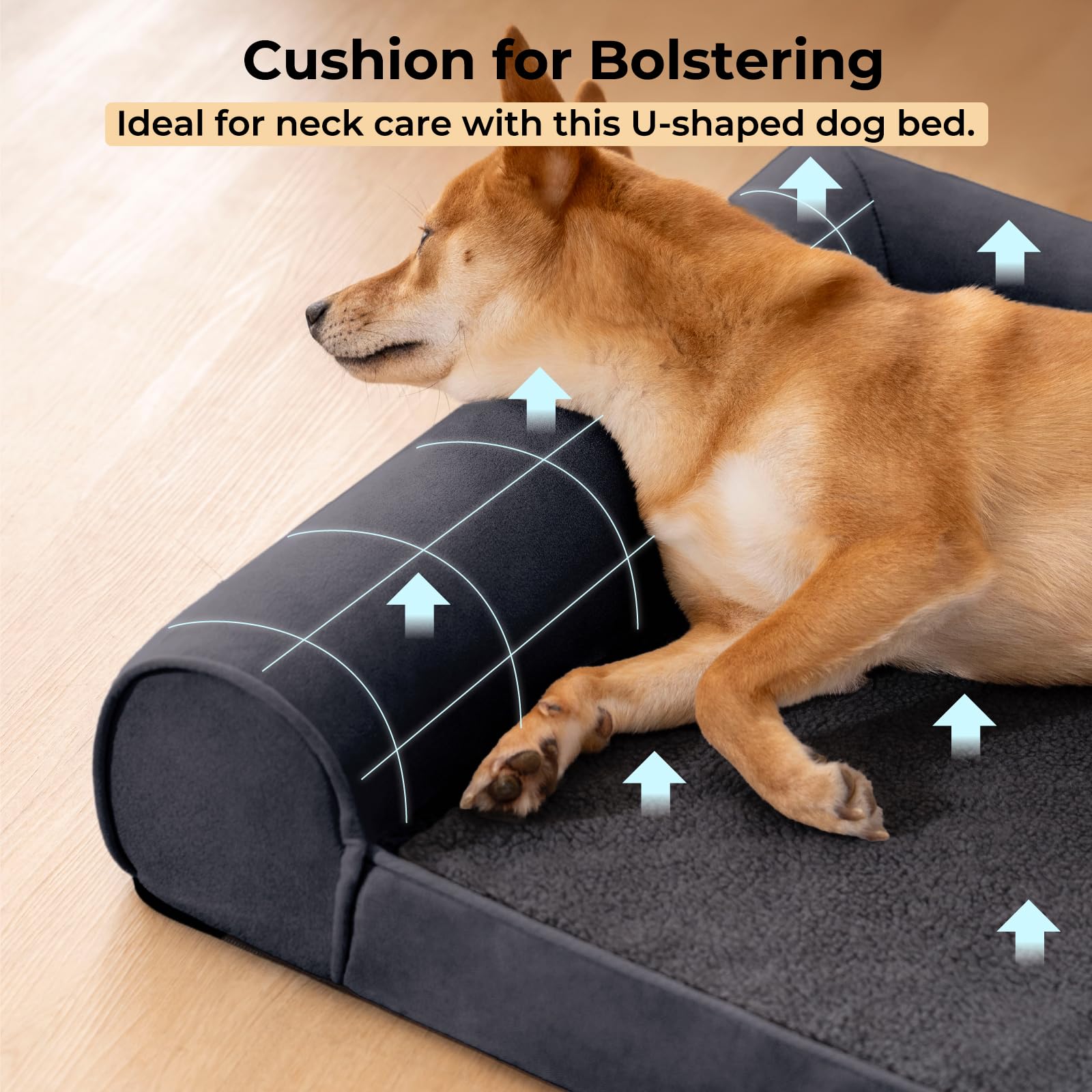 FUNNY FUZZY Hundebett Waschbar – Flauschige 2-in-1-Matratze Für Mittelgroße Hunde & Katzen