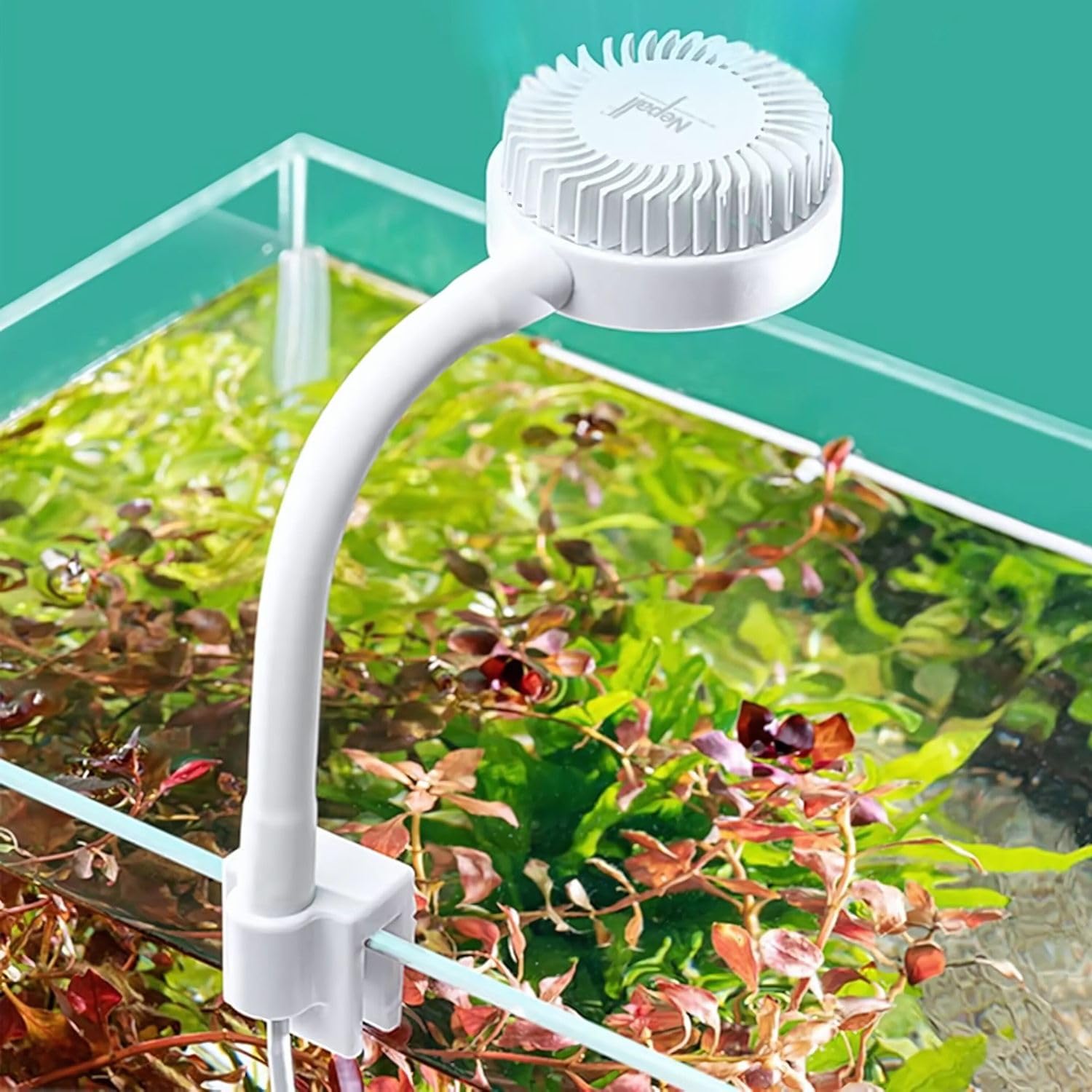 VAYINATO Nepall Mini Nano White Clip On Back Planted Aquarium Fish Tank Light with USB Plug | 5W | 7000-8000K | Waterproof | 360 Flexible | Aluminium Body (B0BN5WY37Z) Amazon Price History, Amazon Price Tracker