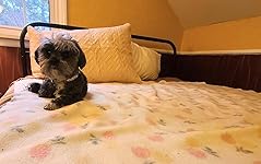 Review Image by Kim L Kim L