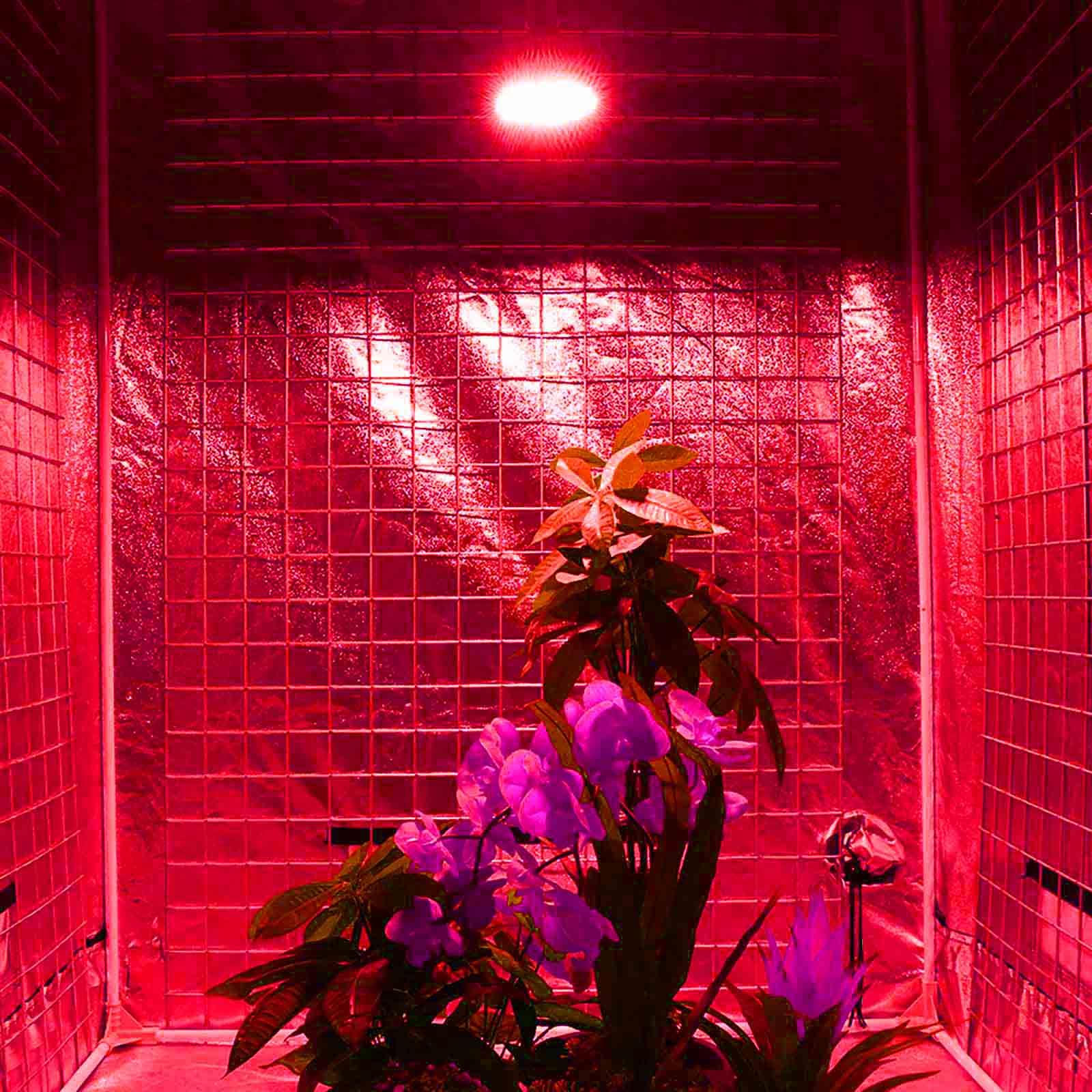 Bombilla LED 660nm Rojo Intenso, Mejora Espectro Rojo Fotorrespiratorio, Bombilla Roja para Plantas de Crecimiento, Luz de Crecimiento para Flores y Frutas, Iluminación LED para Jardinería Interior