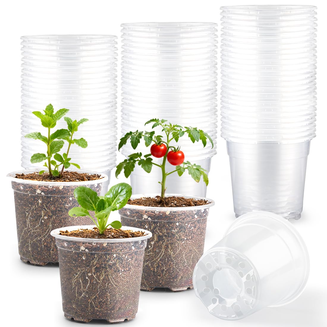 RooTrimmer Clear Pots