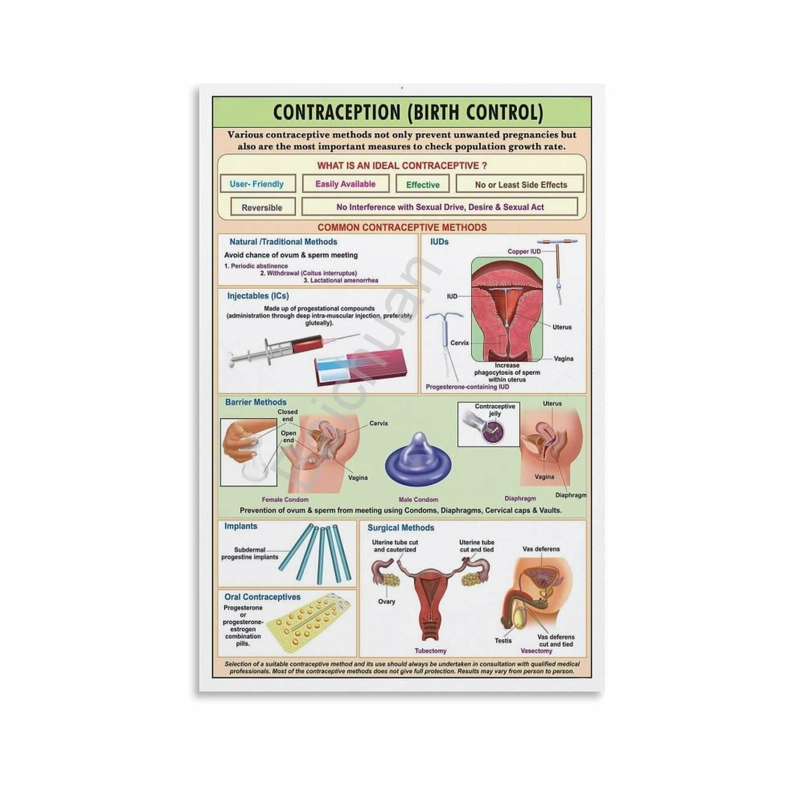 KCDFDVJFBM Reproductive Health Education Chart Informative Poster Canvas Wall-Art for Health Science Classroom(Framed,12x18inch(30x45cm))