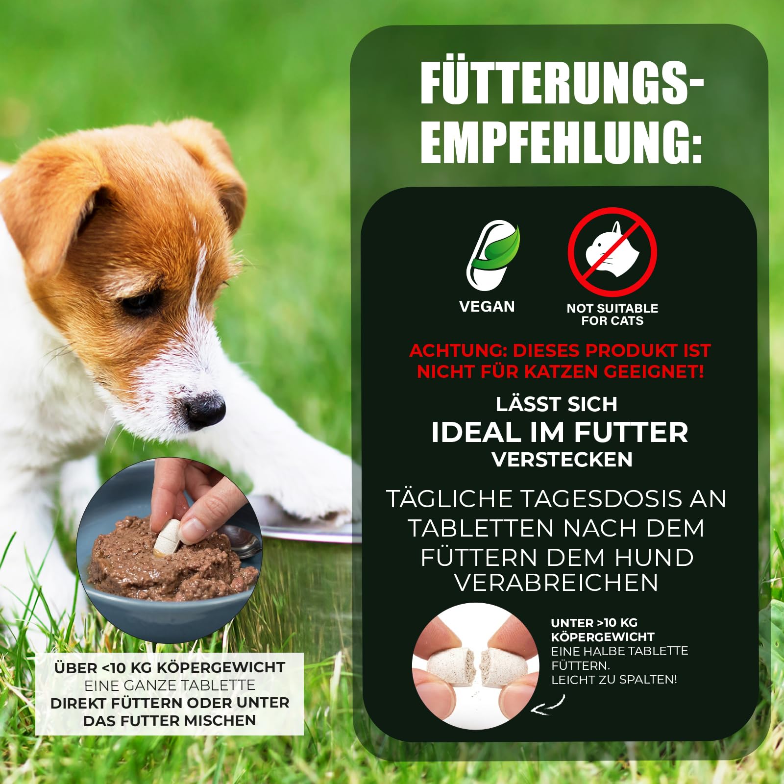 Saint Nutrition® Wormwood - Tratamiento de gusano secundario para perros - Extracto de hierba de ajenjo para perros - Fórmula herbal natural - Complemento alimenticio para un apoyo óptimo - sin