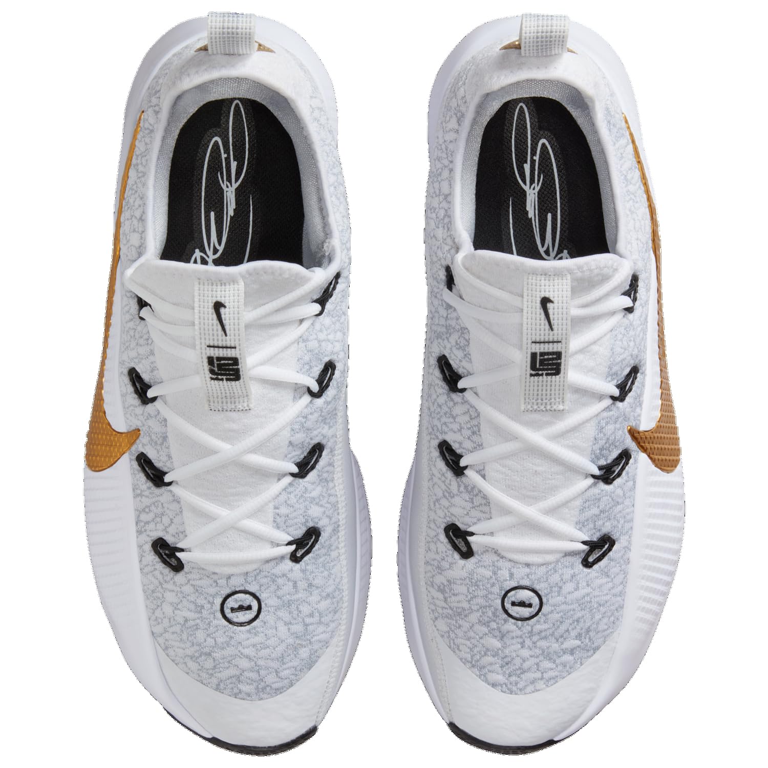 Nike Lebron TR 1 - Uomo (Bronze/Wolf Grey/MTLC Gold)