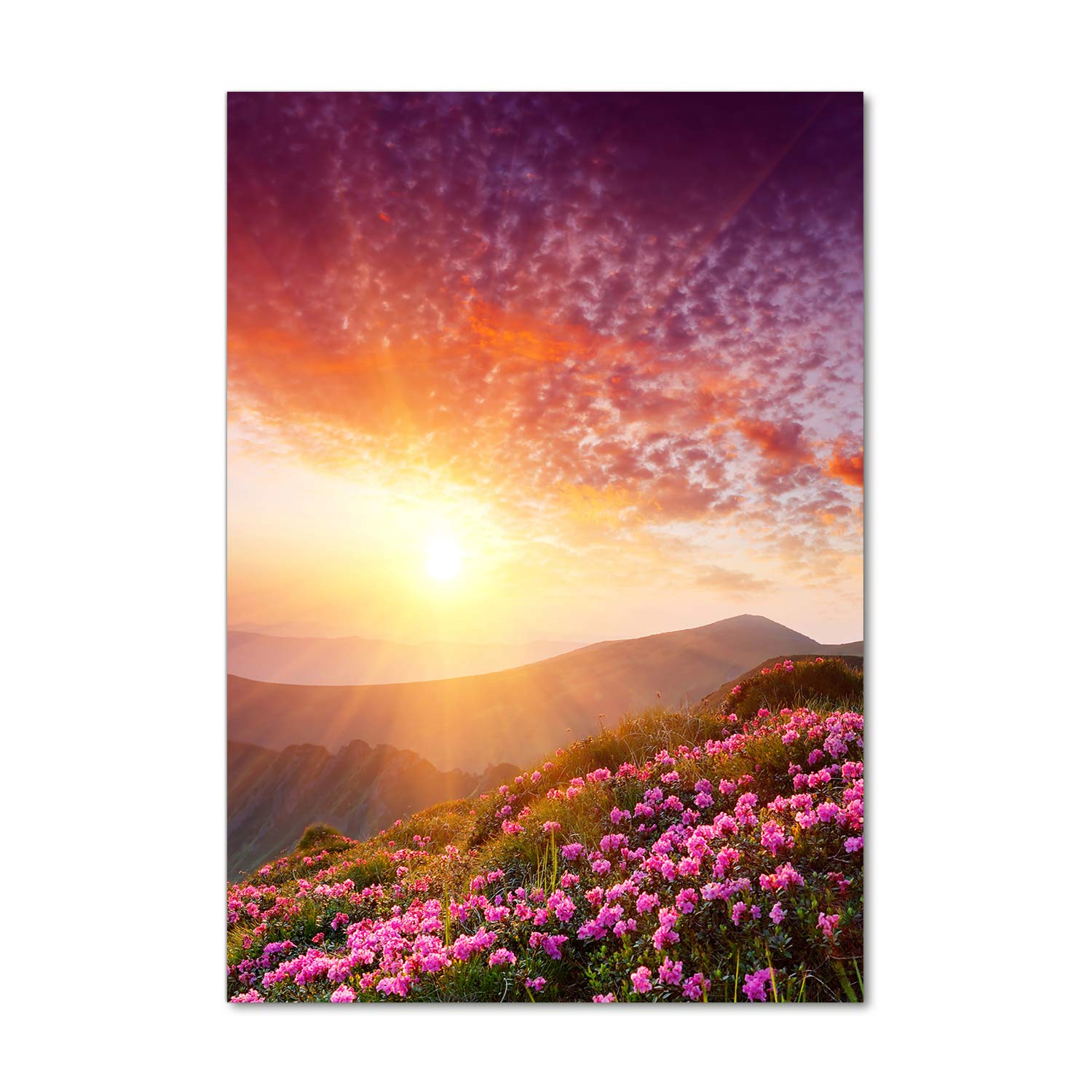 Tableau en Plexiglas Premium 70x100 | Tulup Déco Mural Haute Définition Violet