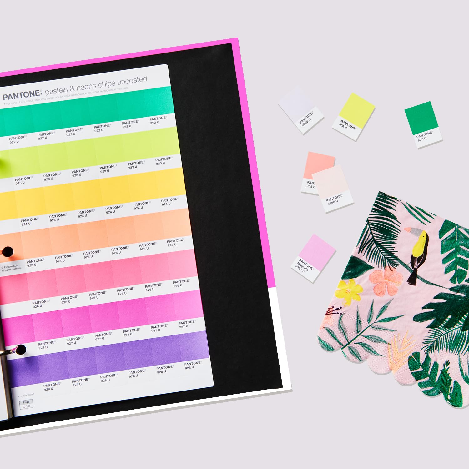 その他 PANTONE PASTELS & NEONS CHIPS PANTONE | PASTELS E NEONS CHIPS | REVESTIDO E SEM REVESTIMENTO