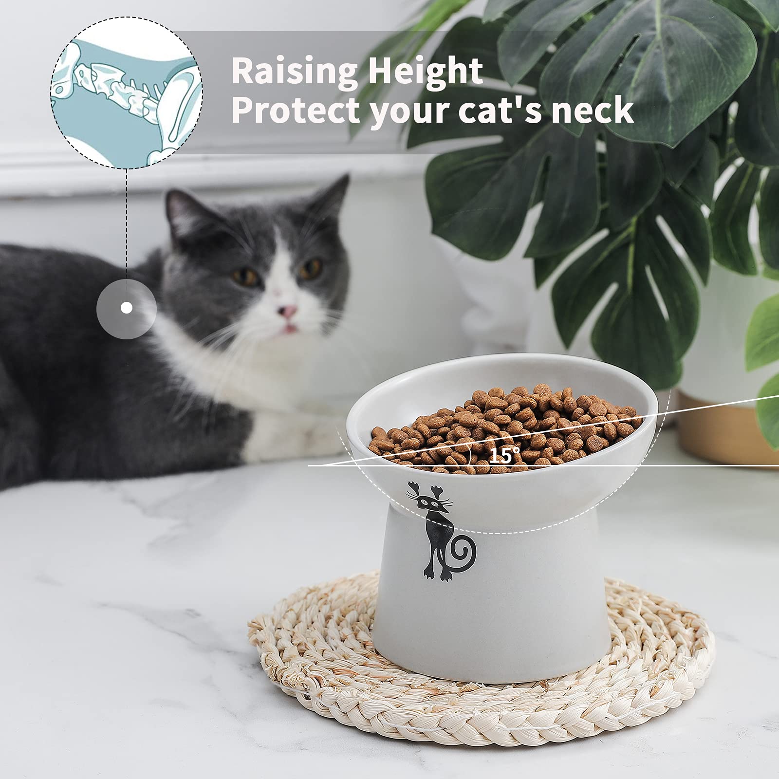 Bartuke Elevated & Tilted Cat Bowls Set - 15° Angle Ceramic Dishes On Stand For Easier Eating & Less Vomiting