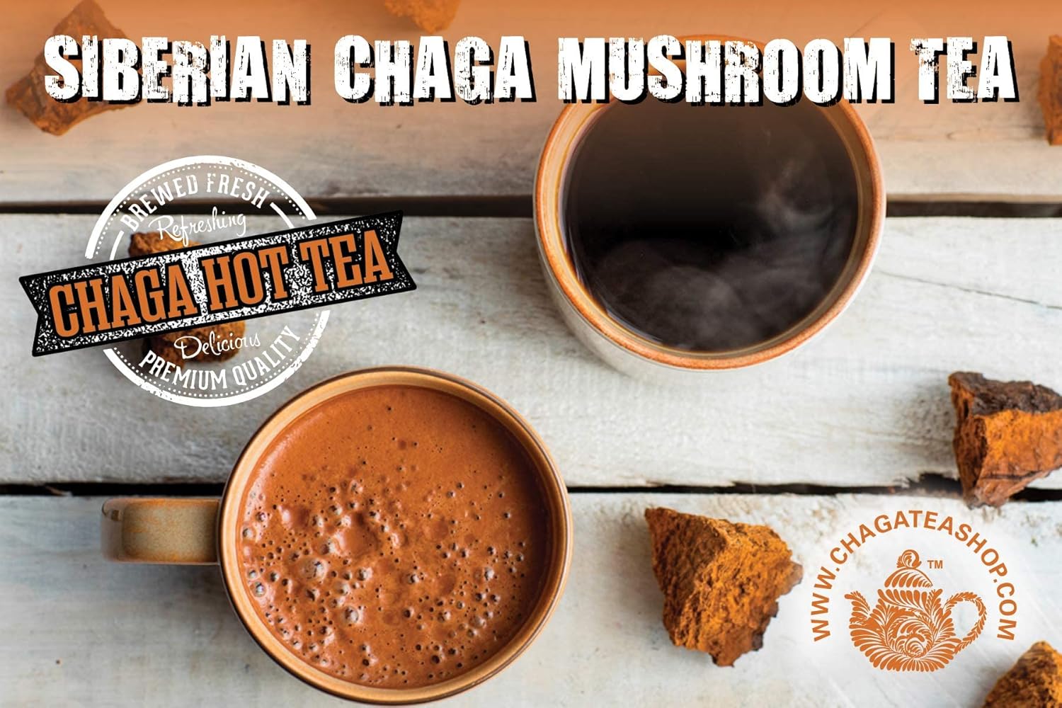 Siberian Chaga Mushroom Individual Filter Tea Bags Original 50 Filter Bags Net Wt 3.5 Oz (100g)