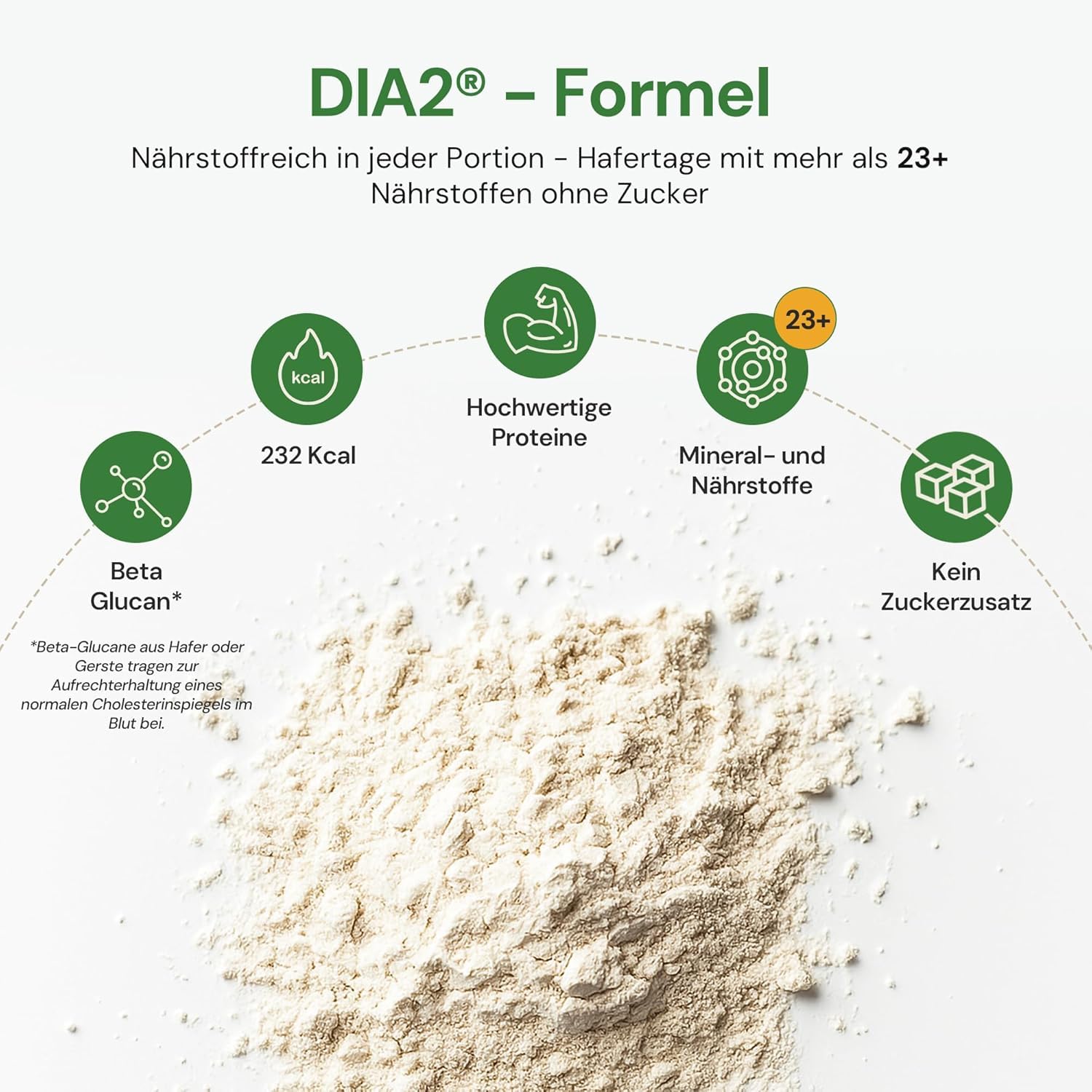 Haferlöwe Haferkur 28 Tage Starter Set, Hafertage in 4 Geschmacksrichtungen | Inkl. Gratis Shaker und Leitfaden | Protein Shake | Leckerer Diät Hafershake | DIA2® Ernährung