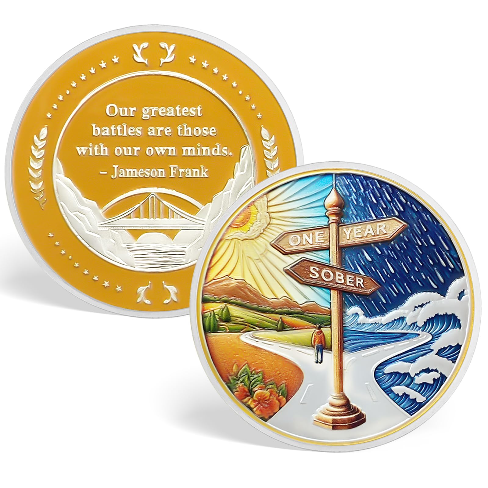 Sobriété Pièce de 1 an - Panneaux de Signalisation Originaux Sobriété Chip Renaissance après Tempête - Médailles AA et Sobriété Token Sobriété AA NA Sobriété Cadeaux