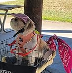 Review Image by Eileen Eileen