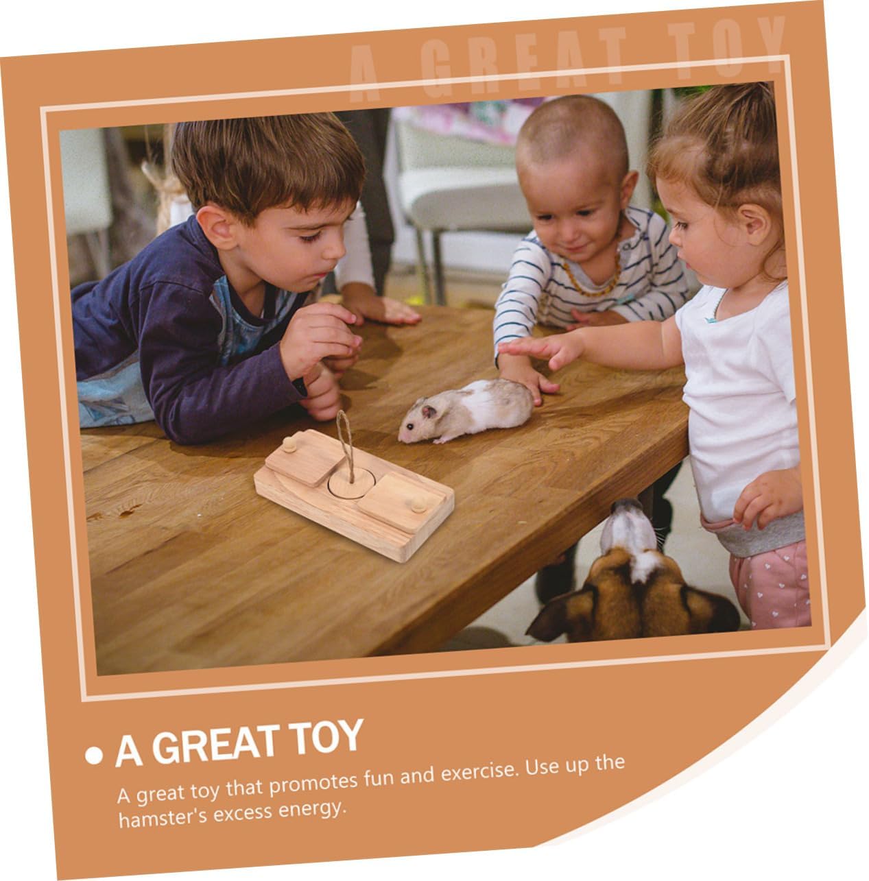 2pcs Safe Wooden Hamster Toys Treat Foraging Bite-Resistant for Small Pet Play Dental Health