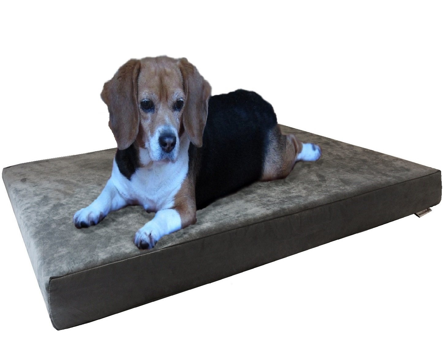 Dogbed4less Orthopedic Gel Infused Memory Foam Dog Bed