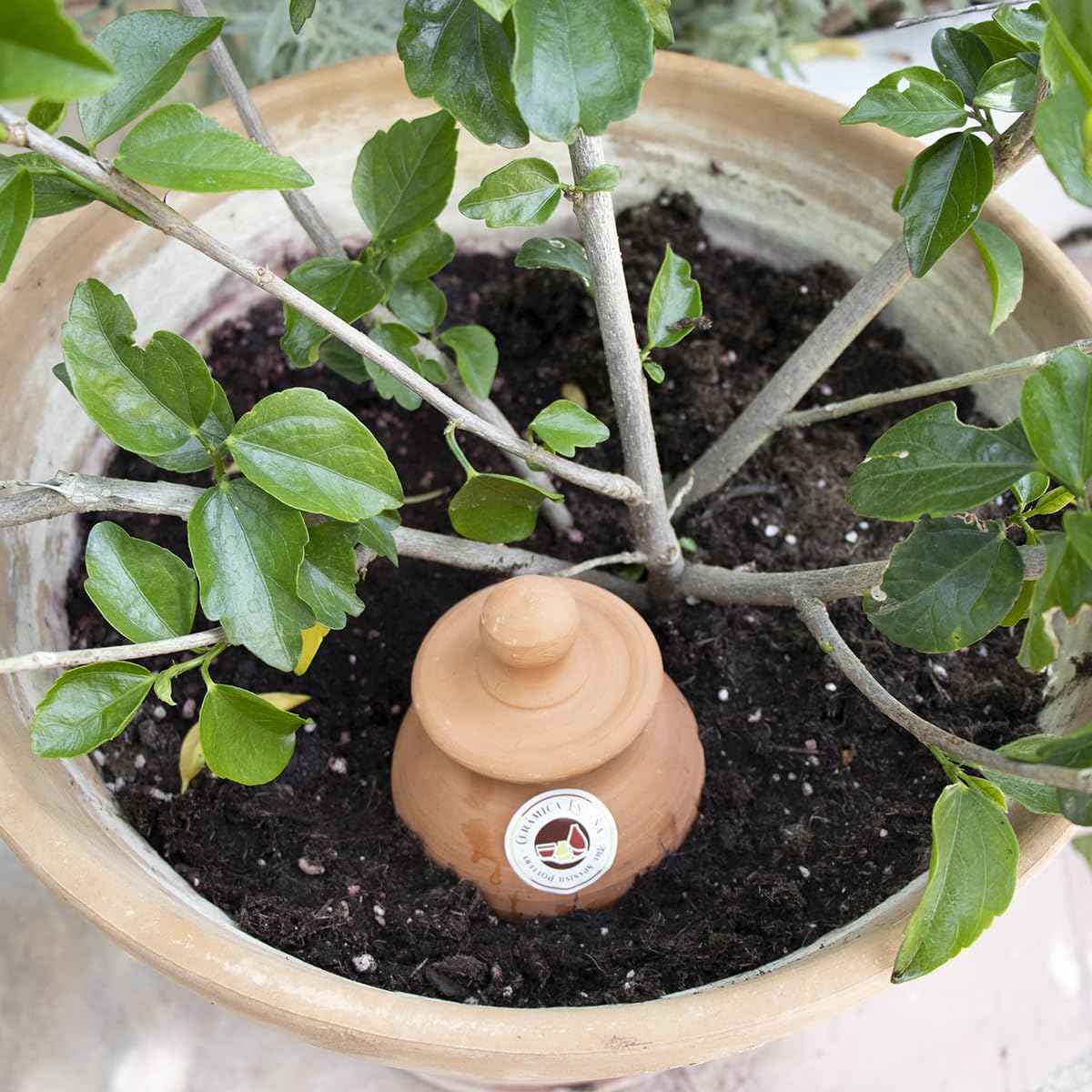CERÁMICA ESPAÑA | Distributeur d'eau | Système d'irrigation | Arrosage automatique | Arrosage par compte-gouttes | Pack x3 Modèle J01 | 500 ml | Eco | 100% fait main | 10x10x22 cm